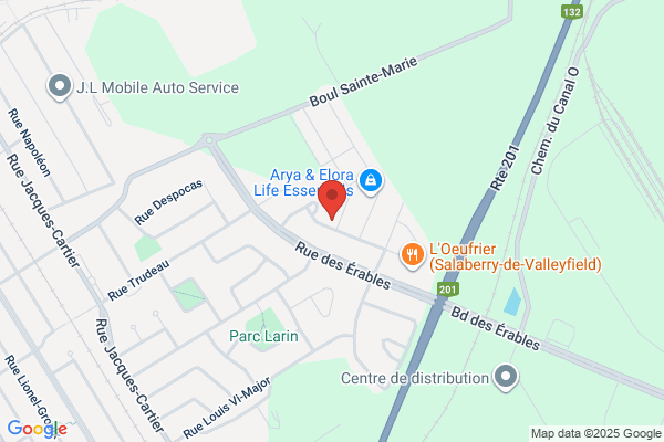 Assurances Shink Bourgon Inc