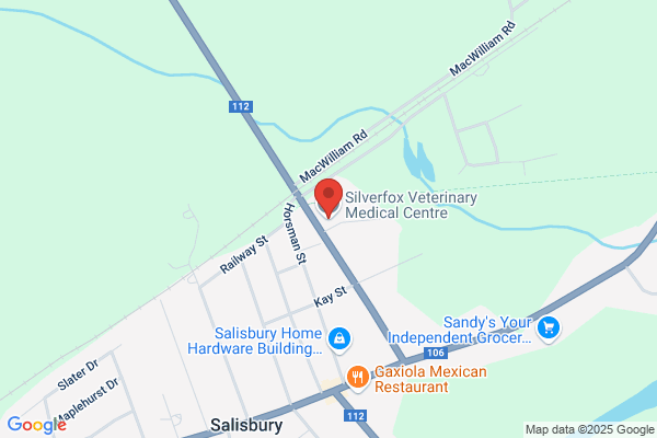 Silverfox Veterinary Medical Centre