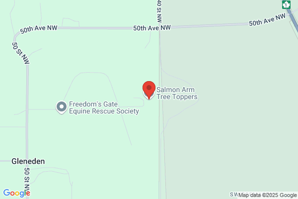 Salmon Arm Tree Toppers