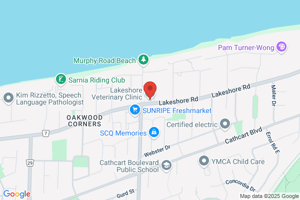 Point Edward Mobile Veterinary Services
