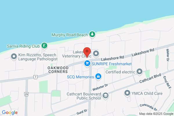 Lakeshore Family Dental