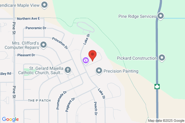 Artisan Developments Inc