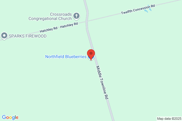 Northfield Blueberries