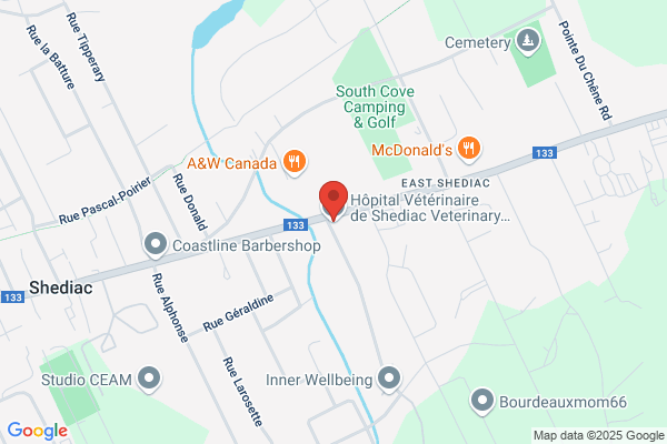 Hôpital Vétérinaire de Shediac Veterinary Hospital