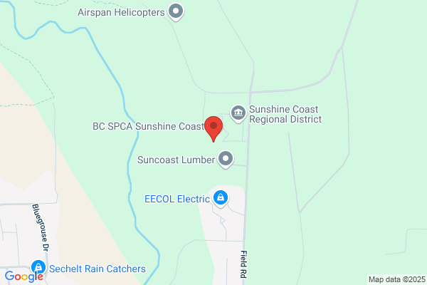 Sechelt School Bus Service Ltd