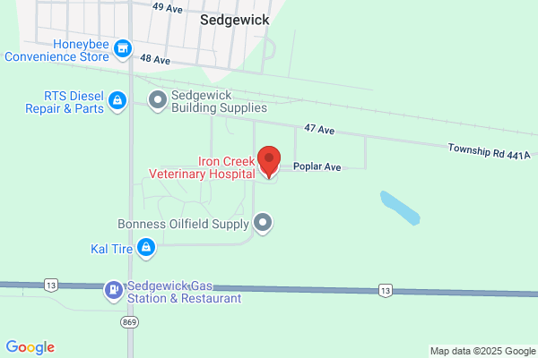 Iron Creek Veterinary Hospital