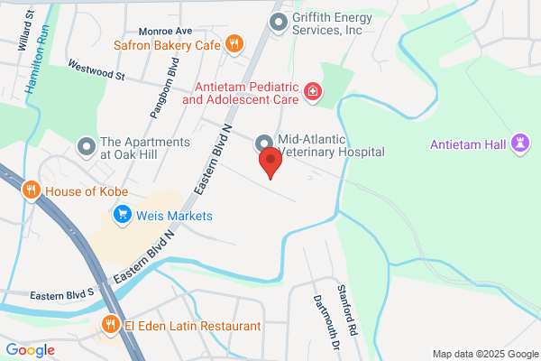 Konzelman R G Dr Dentist