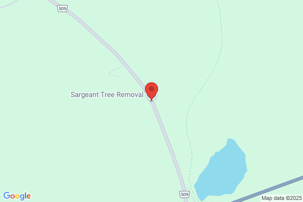 Sargeant Tree Removal