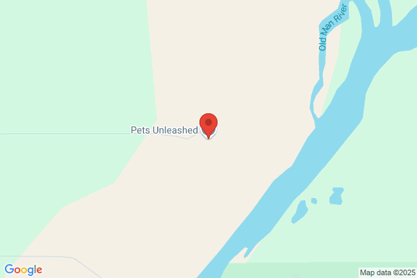 Pets Unleashed