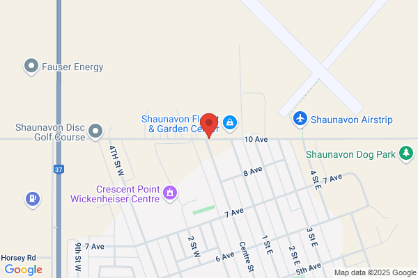 Shaunavon Electric