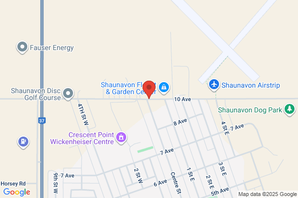 Shaunavon Electric