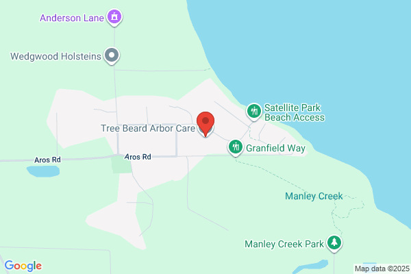 Rivers Arb Tree Experts