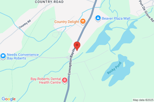 Baccalieu Trail Animal Hospital