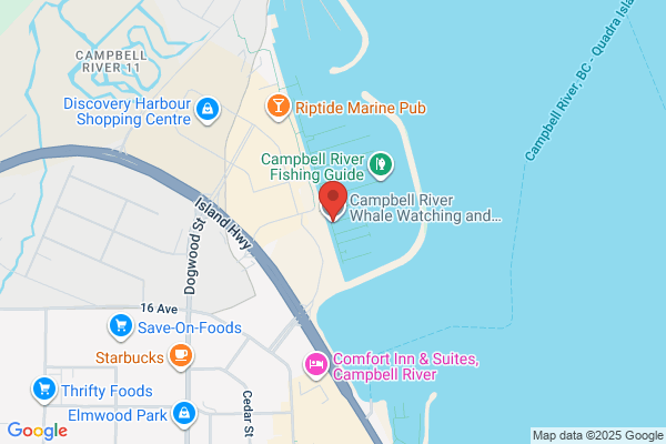Campbell Adventure Tours