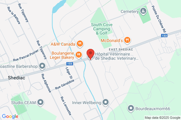 Hôpital Vétérinaire de Shediac Veterinary Hospital