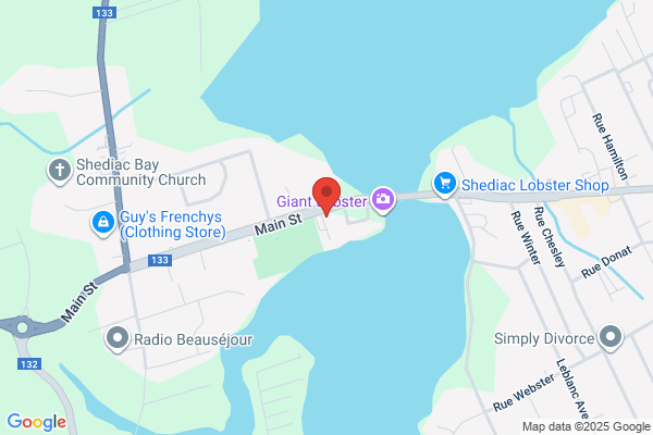 NAPA Auto Parts - NAPA Shediac