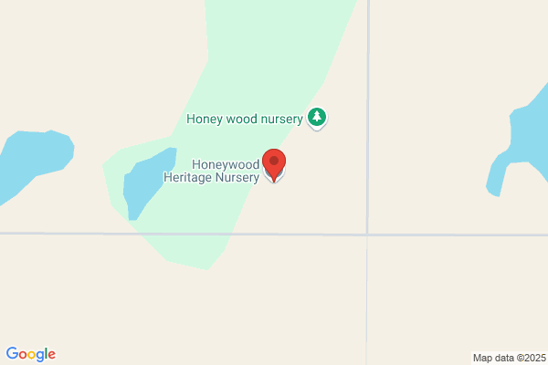 Honeywood (Dr A J Porter) Heritage Nursery