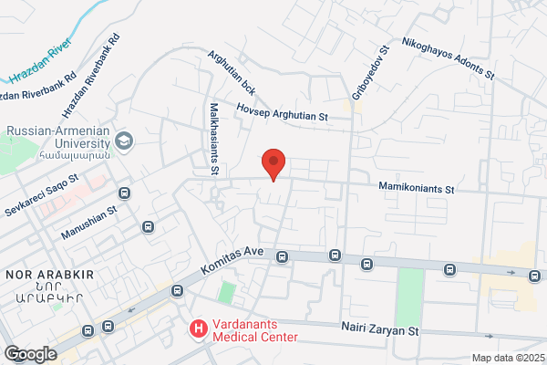 Dial-A-Bus