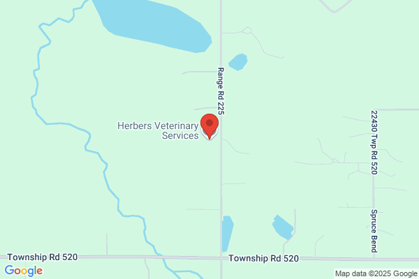 Herb's Cat Service Ltd
