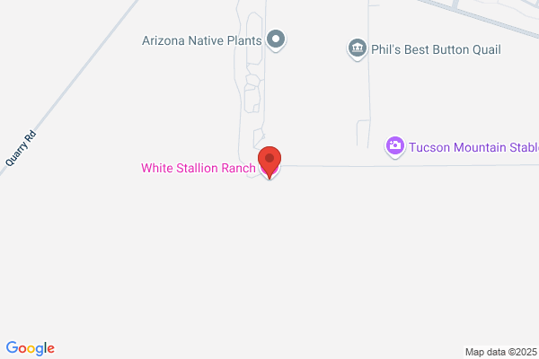 White Stallion Innovations Ltd