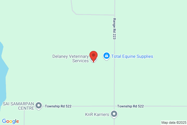 Delaney Veterinary Services Ltd