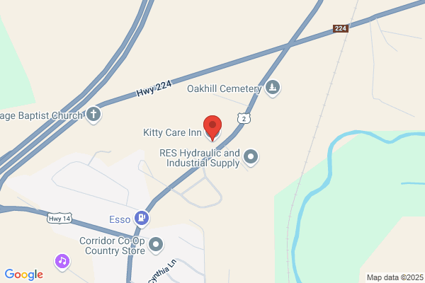 Kitty Care Inn