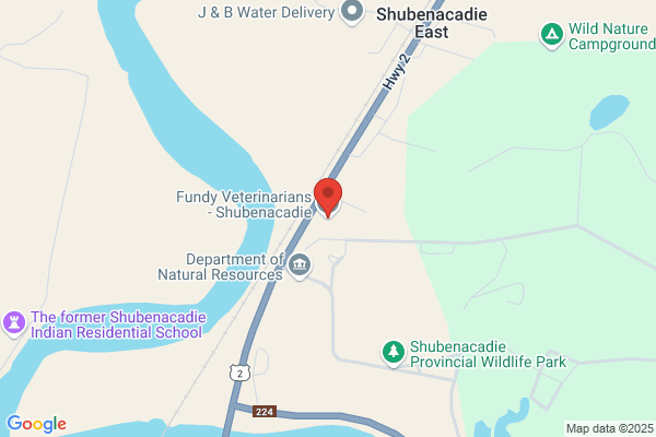 Fundy Veterinarians - Shubenacadie