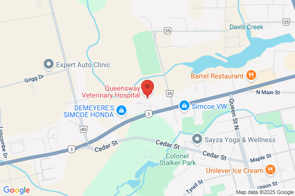Queensway Veterinary Hospital Professional Corporation