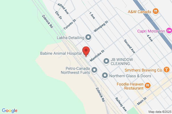 Babine Pet Hospital
