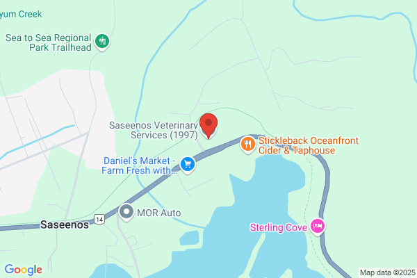 Saseenos Veterinary Services (1997) Ltd