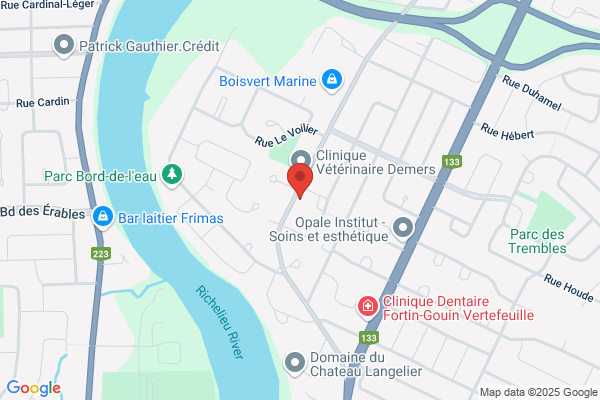Grenon Daniel Dr Chirurgien Dentiste