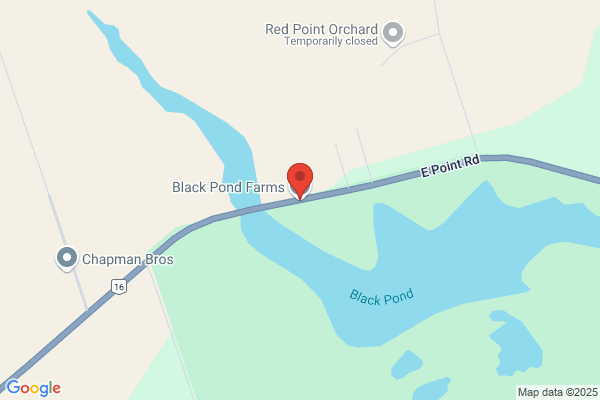 Black Pond Farms Ltd