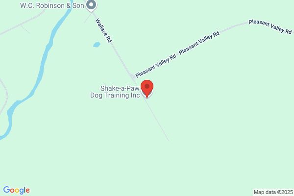 Shake A Paw Dog Training