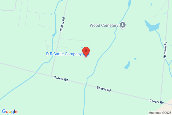 3/4 Cattle Co Ltd