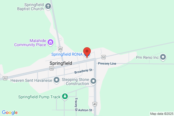 Springfield RONA
