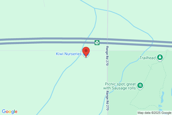 Kiwi Nurseries Ltd If Busy Call