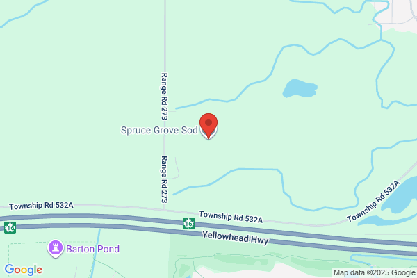 Spruce Grove Sod
