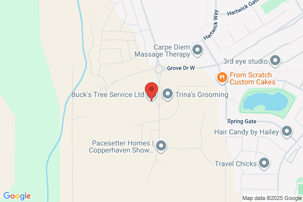 Buck's Tree Service