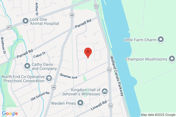 St Catharines Tree Service