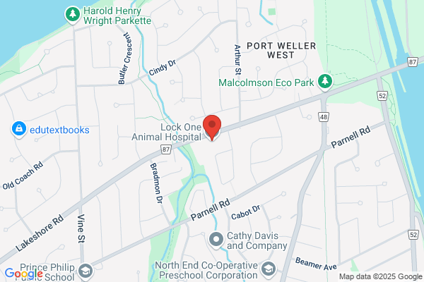 Lock One Animal Hospital