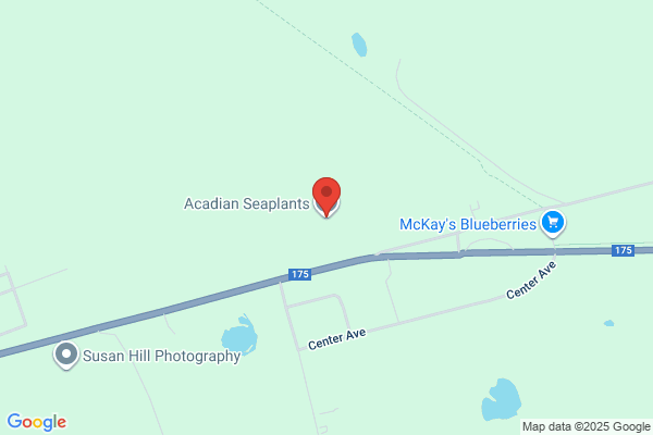 Acadian Seaplants Limited