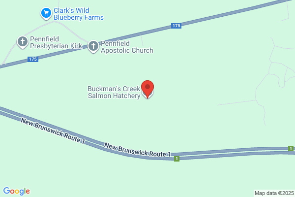 Buckmans Creek Hatchery Ltd