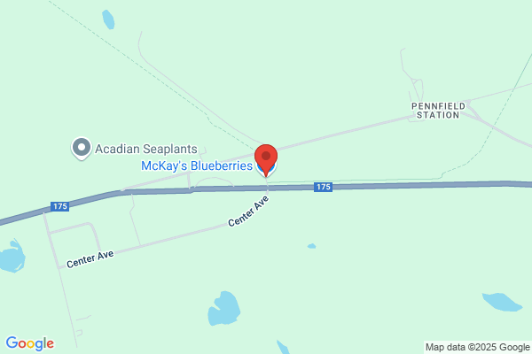 McKay's Blueberries