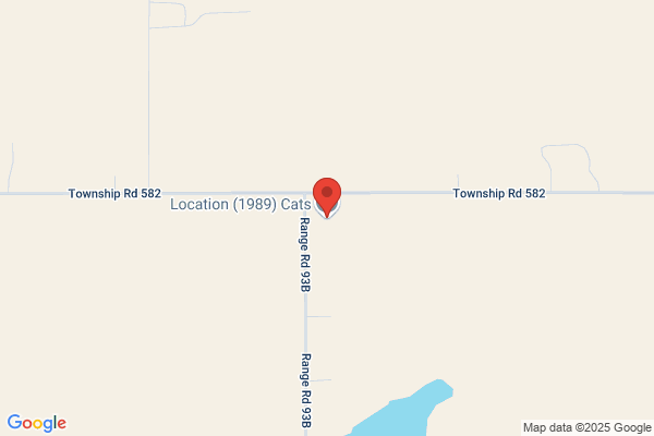 Location (1989) Cats Ltd, Shop