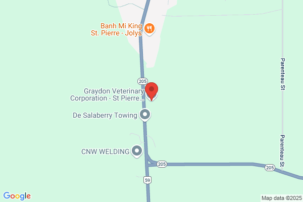 Graydon Veterinary Corporation