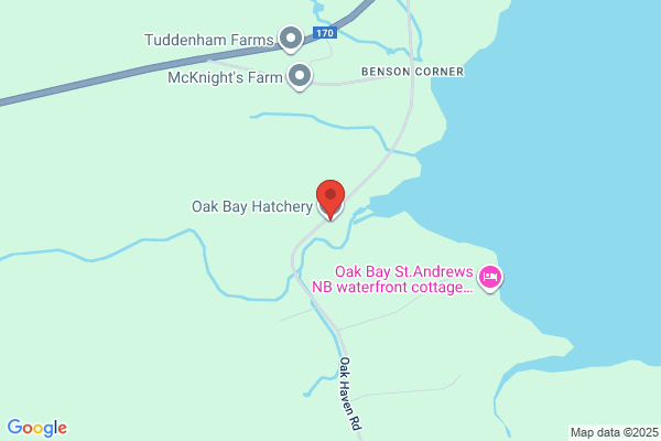 Cooke Aquaculture, Oak Bay Hatchery