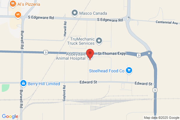 Abbeydale Animal Hospital, Lichtenberger J R Dr