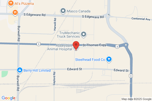 Abbeydale Animal Hospital