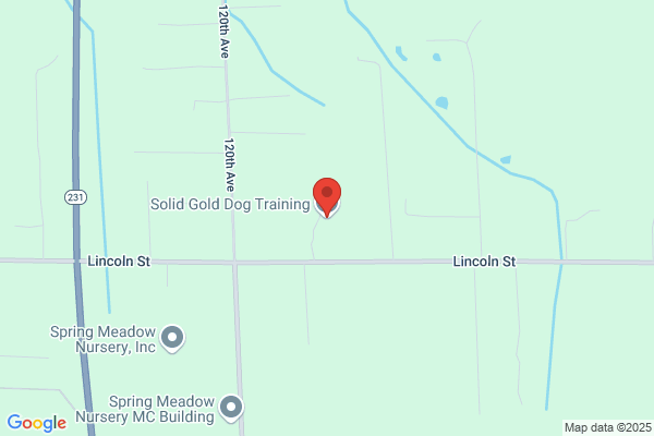Solid Gold Pet Training & Resort