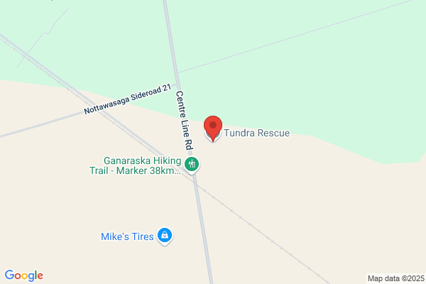 Tundra Rescue